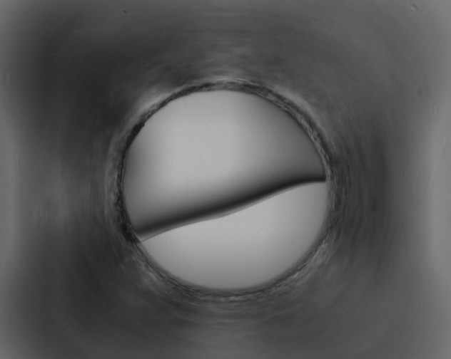 X0000088131359200705140949