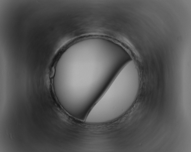 X0000088131360200705140949