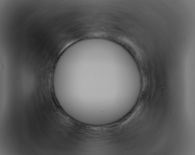 X0000088131361200705140949