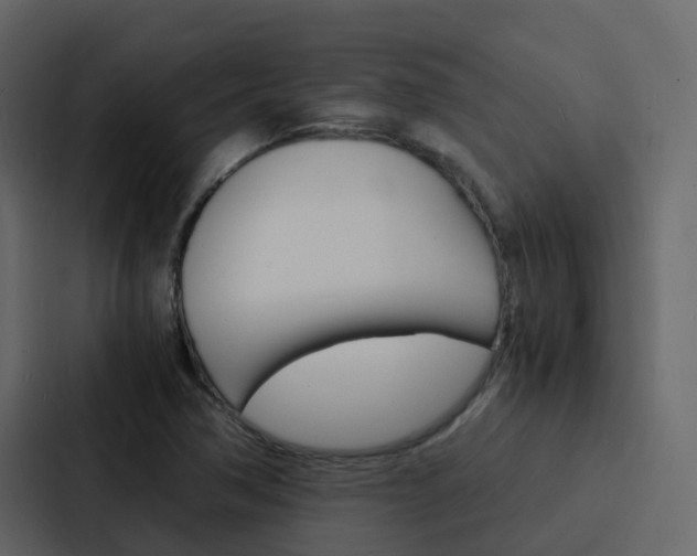 X0000088131362200705140949