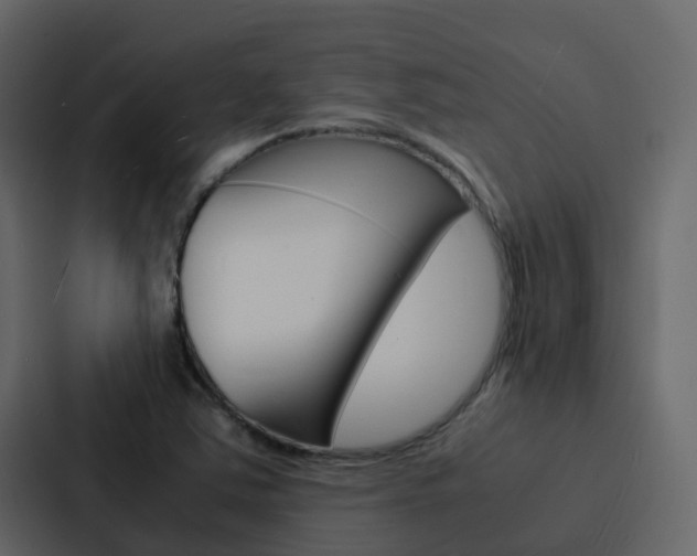 X0000088131363200705140949