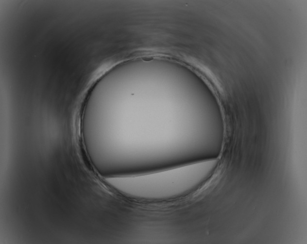 X0000088131365200705140949