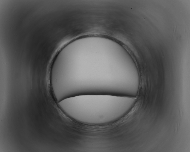 X0000088131366200705140949