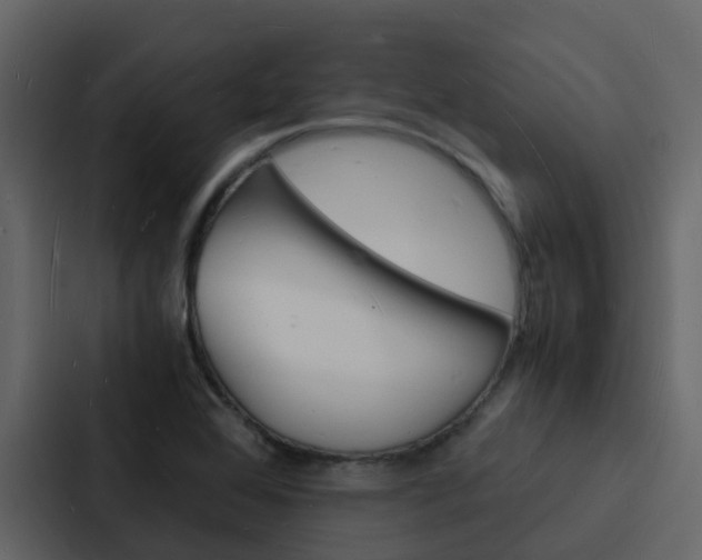 X0000088131368200705140949