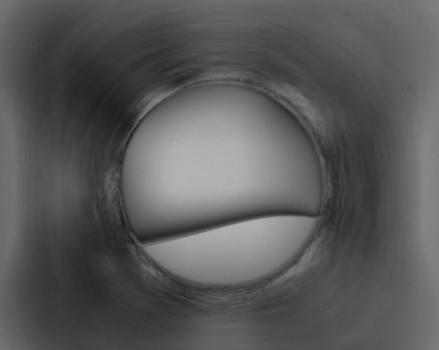 X0000088131369200705140949