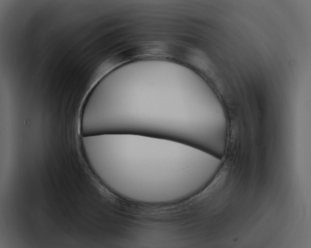 X0000088131370200705140949