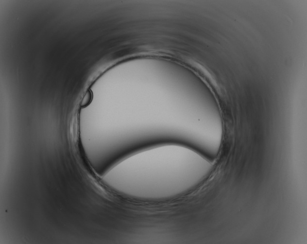 X0000088131371200705140949