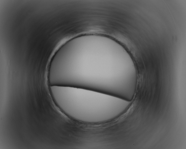 X0000088131374200705140948