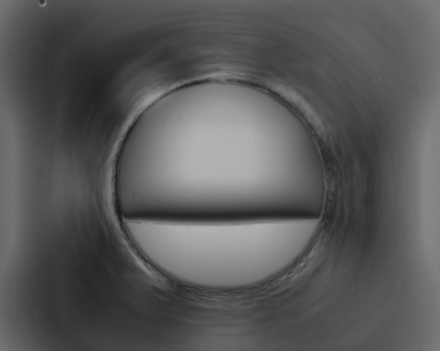 X0000088131375200705140948
