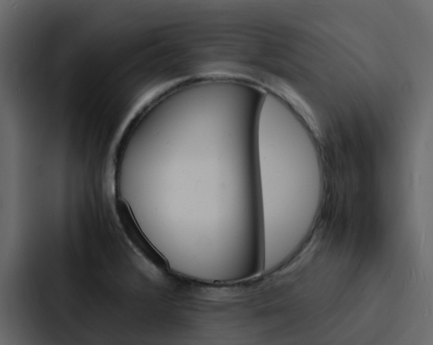 X0000088131376200705140948