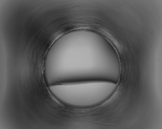 X0000088131377200705140948
