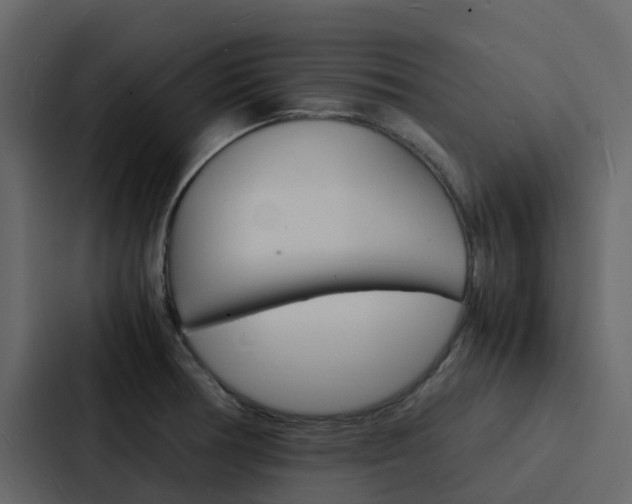 X0000088131378200705140948