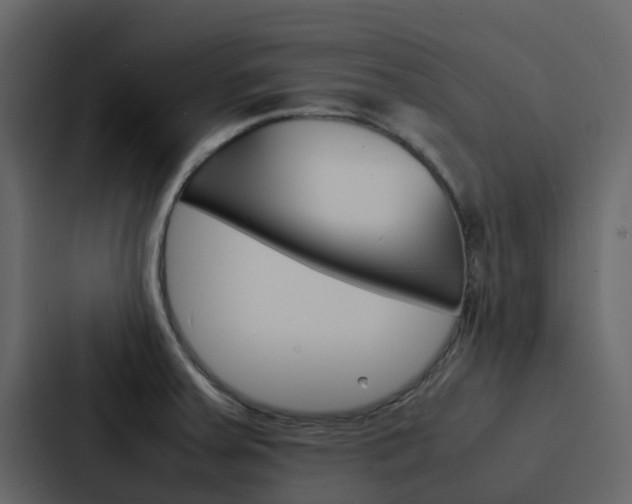 X0000088131379200705140948