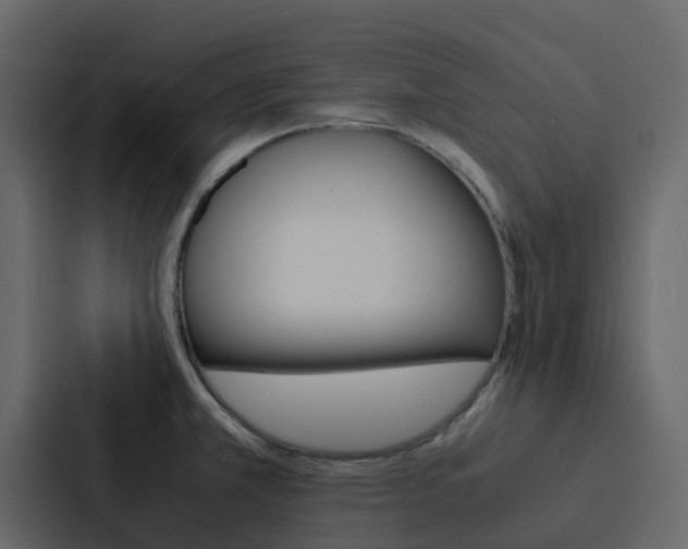 X0000088131381200705140948