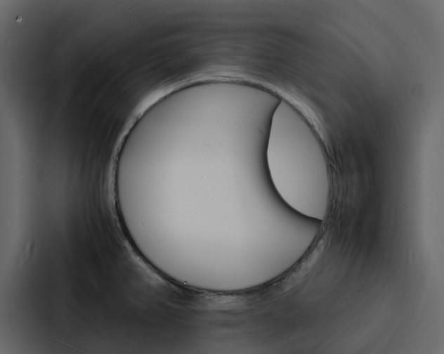 X0000088131382200705140948