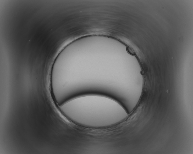 X0000088131383200705140948