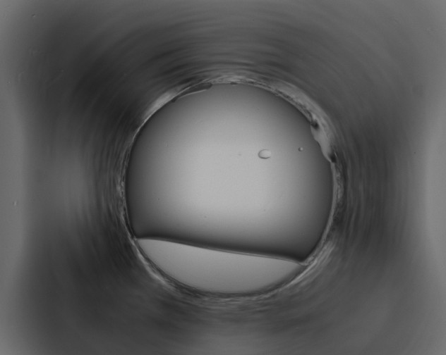 X0000088131385200705140948