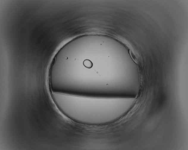 X0000088131387200705140948