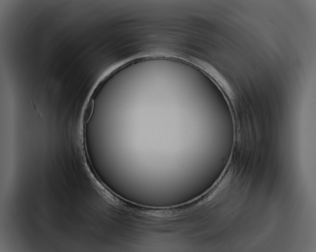 X0000088131388200705140948