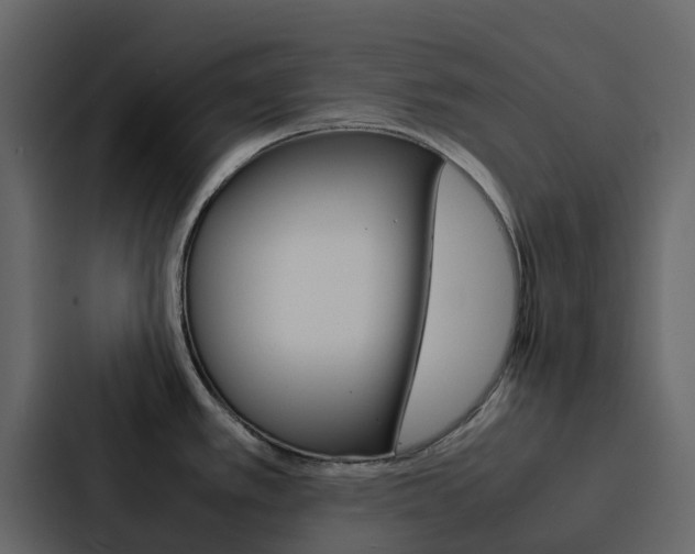 X0000088131389200705140948