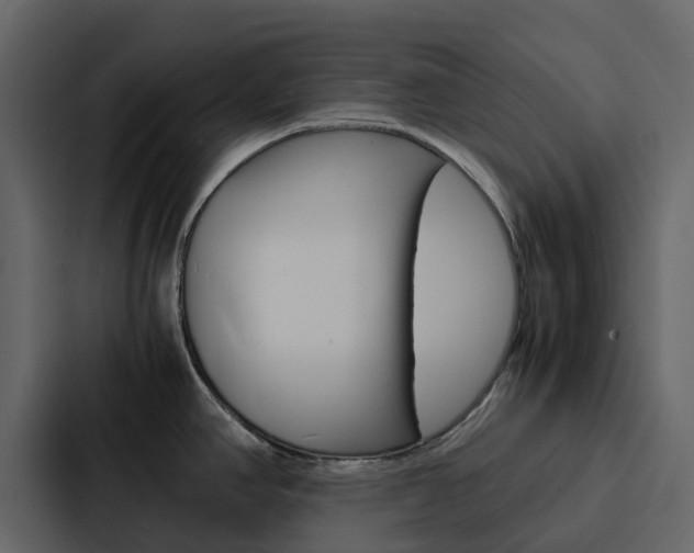X0000088131390200705140948