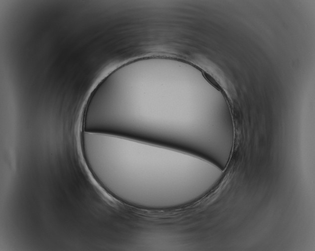 X0000088131391200705140948