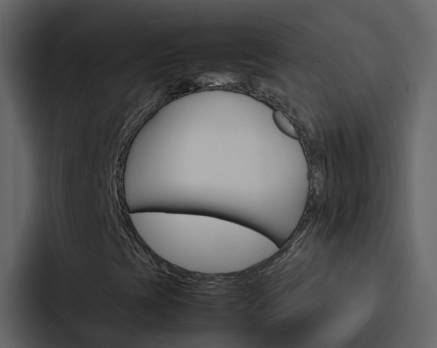 X0000088131393200705140948