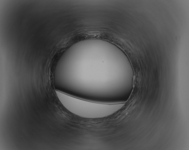 X0000088131394200705140948