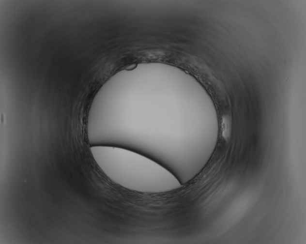 X0000088131395200705140948