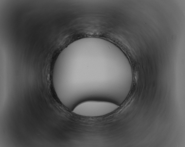 X0000088131396200705140948