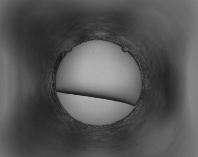 X0000088131397200705140948