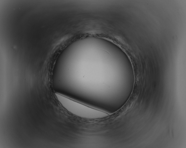 X0000088131398200705140948