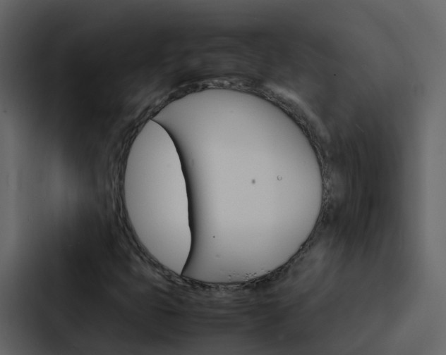 X0000088131399200705140948