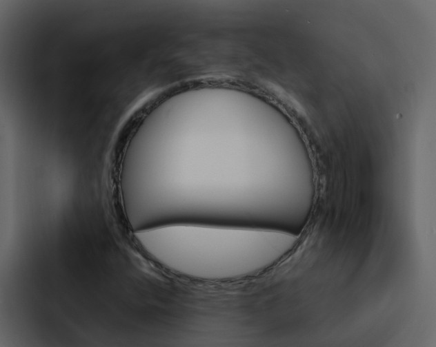 X0000088131400200705140948