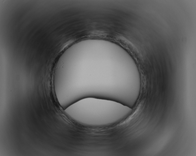 X0000088131401200705140948