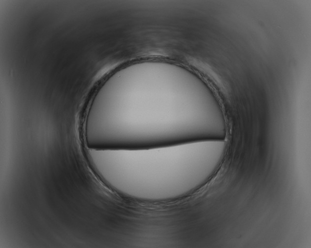 X0000088131404200705140948
