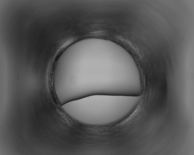X0000088131405200705140948