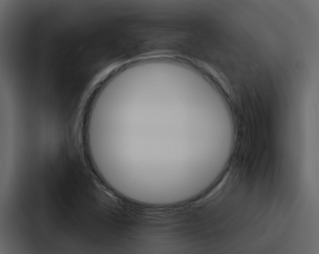X0000088131406200705140948