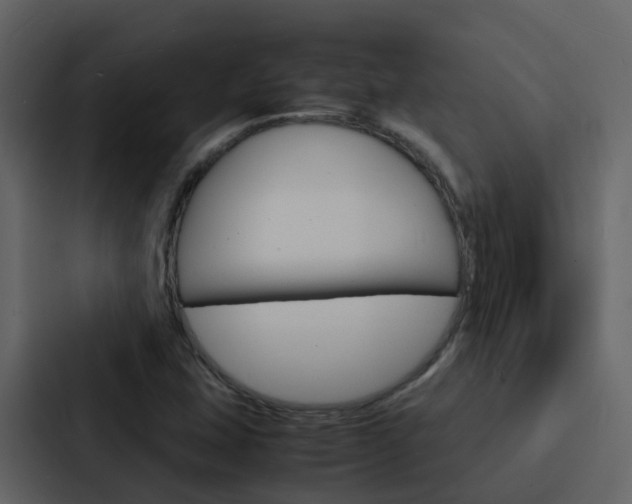 X0000088131407200705140948