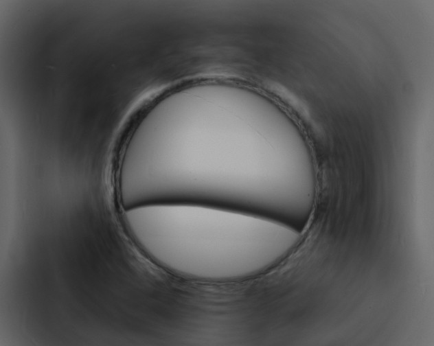 X0000088131408200705140948