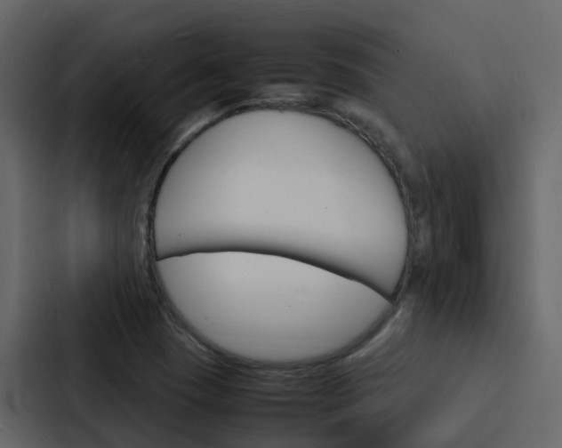 X0000088131409200705140948