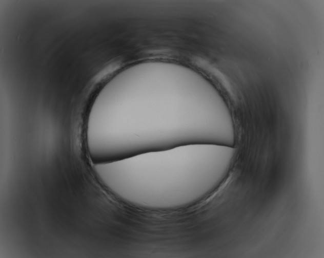 X0000088131411200705140948