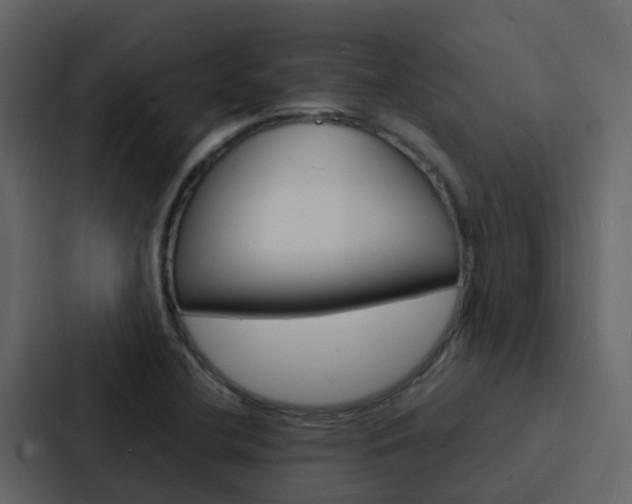 X0000088131412200705140948