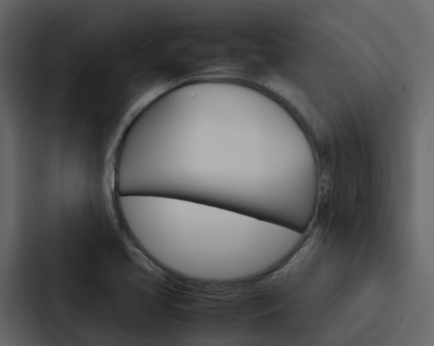 X0000088131413200705140948