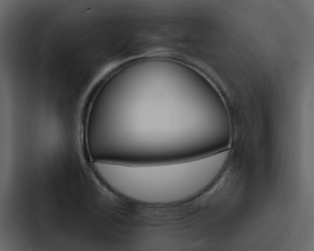 X0000088131414200705140948