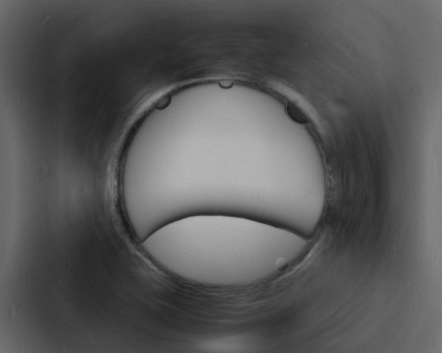 X0000088131415200705140948