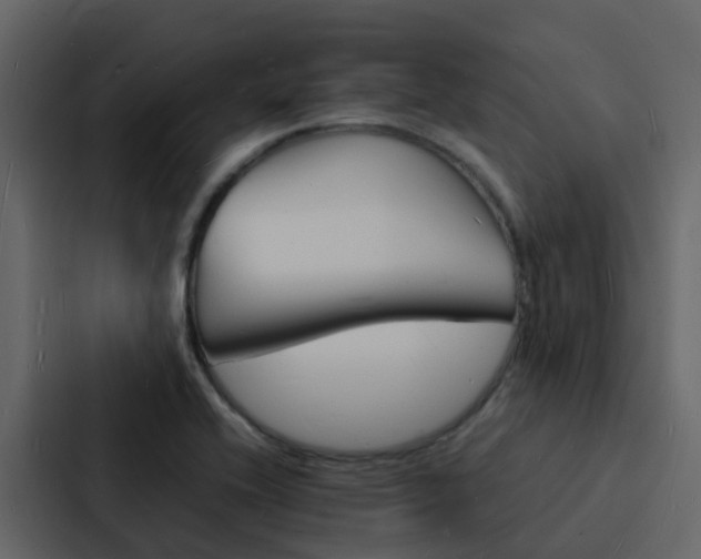 X0000088131416200705140948