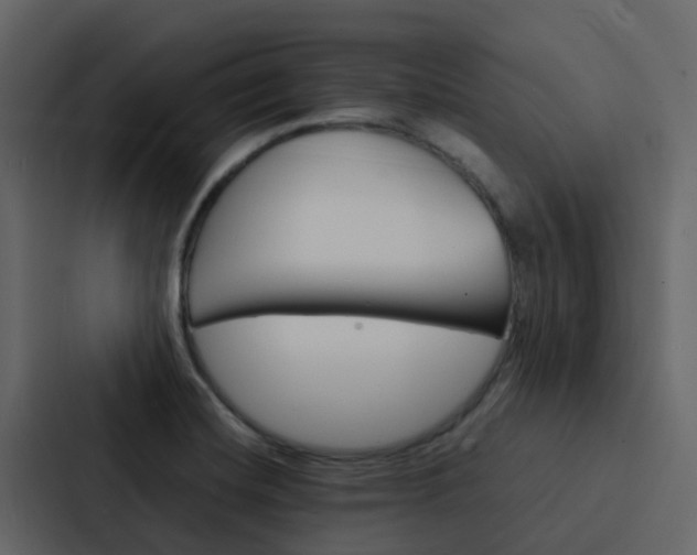 X0000088131420200705140948