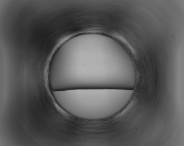 X0000088131421200705140948