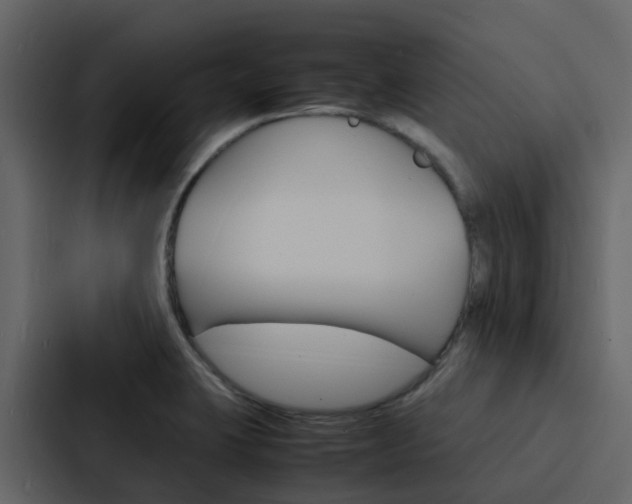 X0000088131423200705140948
